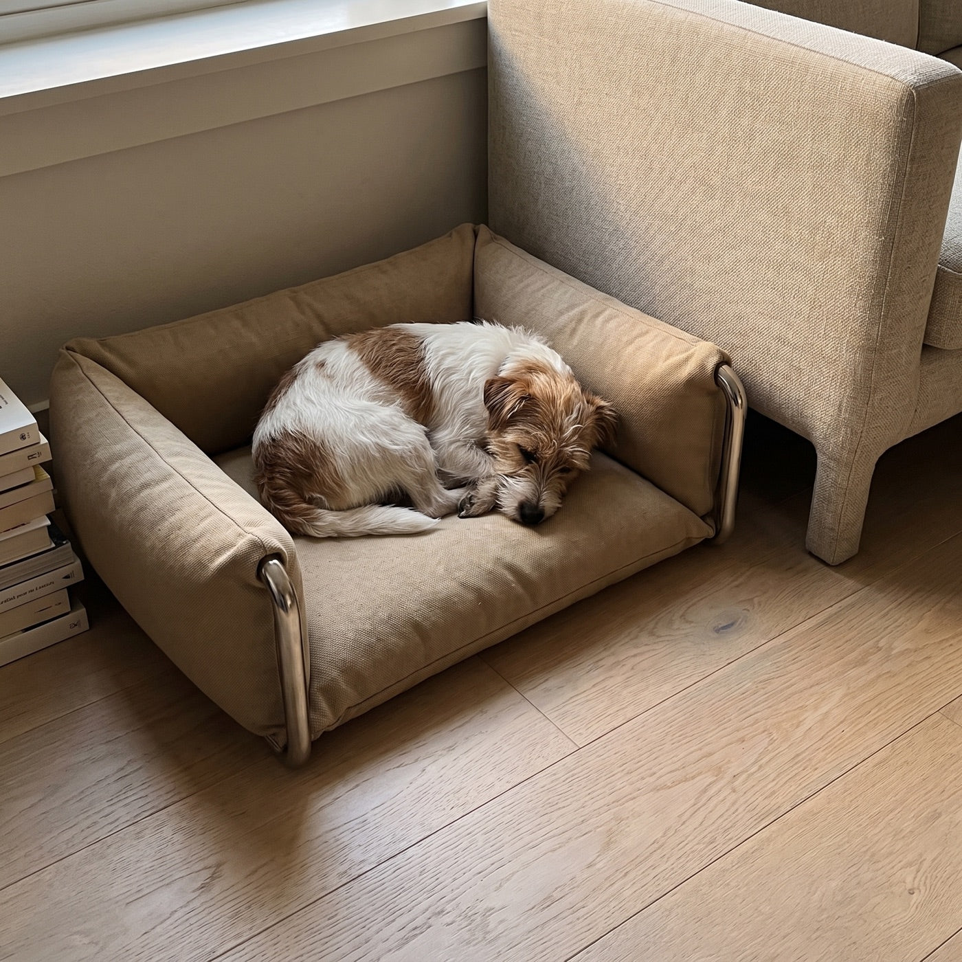 A wire-haired terrier asleep in the Omaia bed beside a linen sofa
